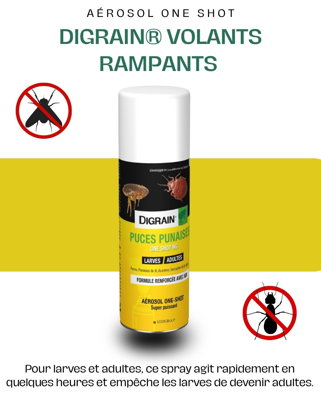 DIGRAIN® Puces Punaises One Shot NG