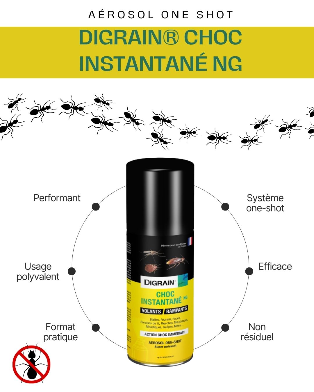 DIGRAIN® Choc instantané NG 100ml