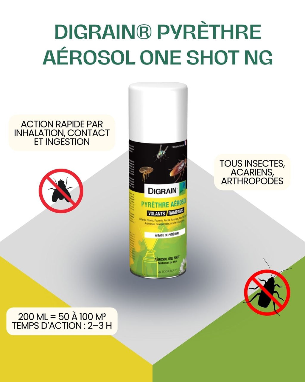 DIGRAIN® Pyrèthre aérosol one shot NG