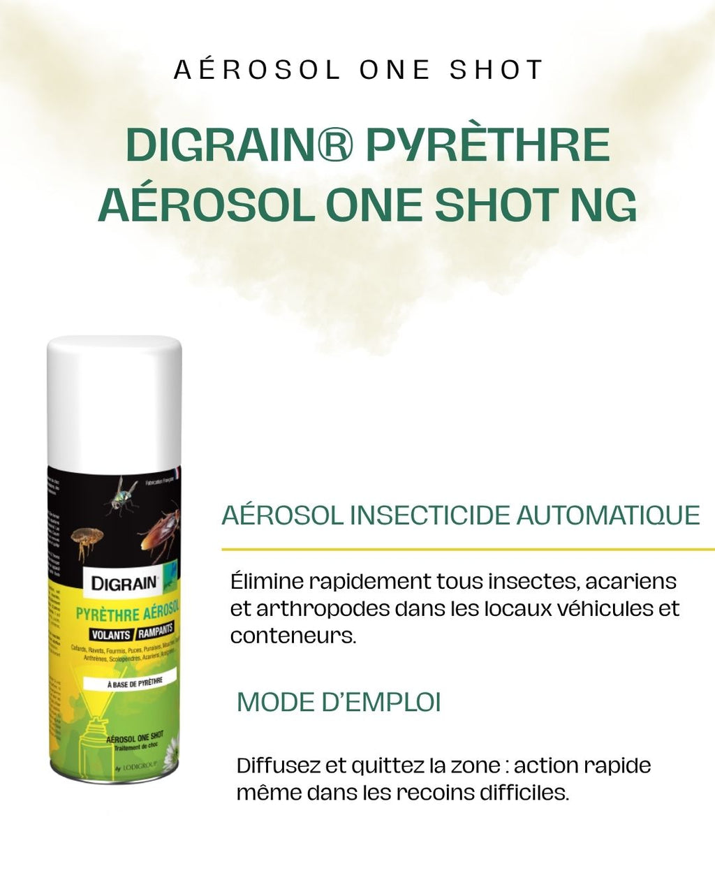 DIGRAIN® Pyrèthre aérosol one shot NG