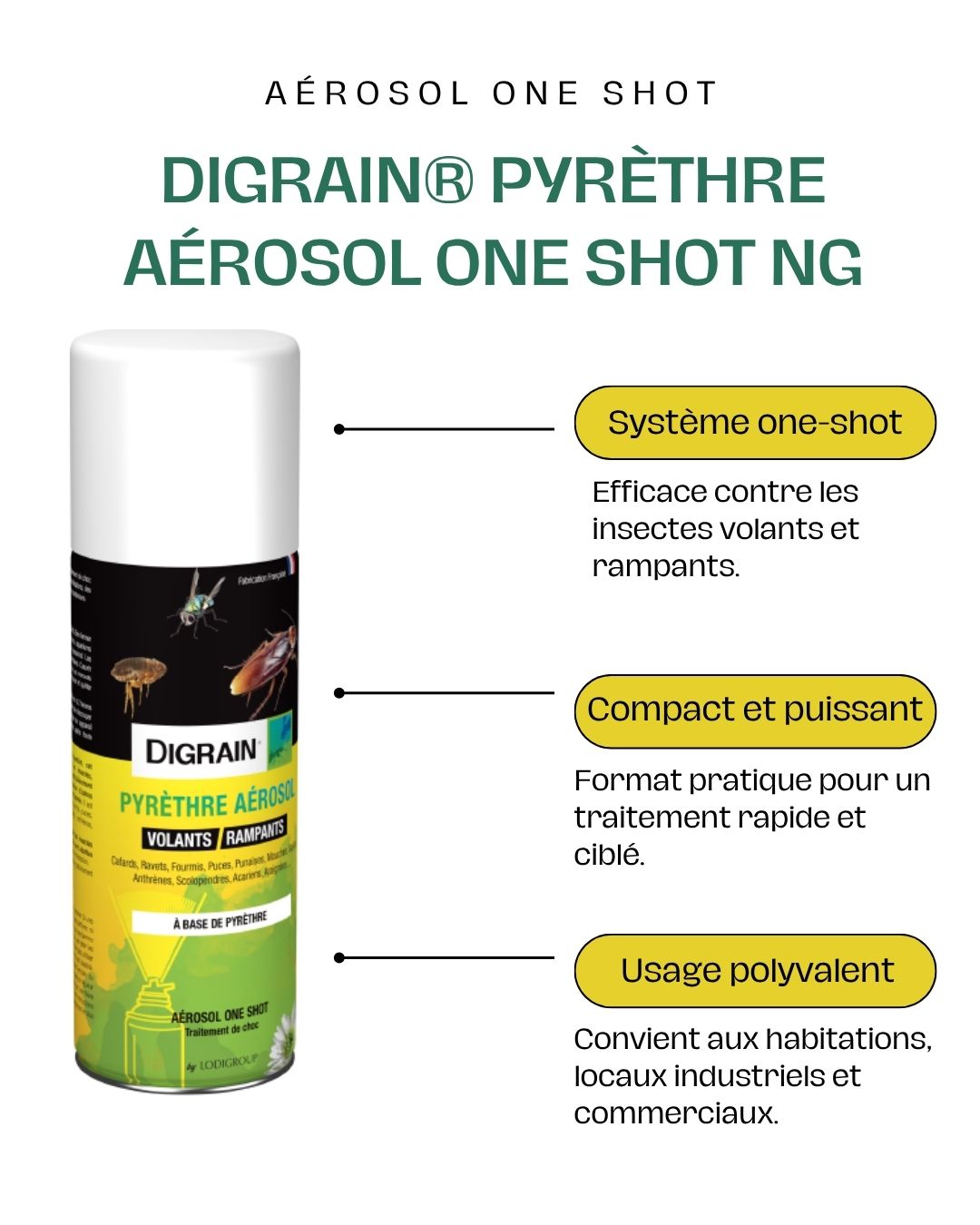 DIGRAIN® Pyrèthre aérosol one shot NG